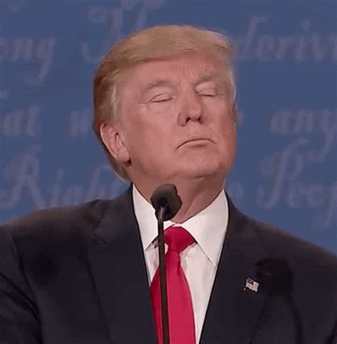 trump gifs